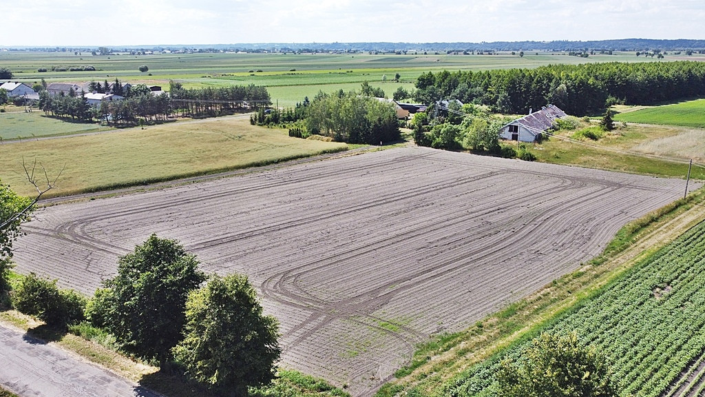 Działka Sprzedaż Bronisławowo