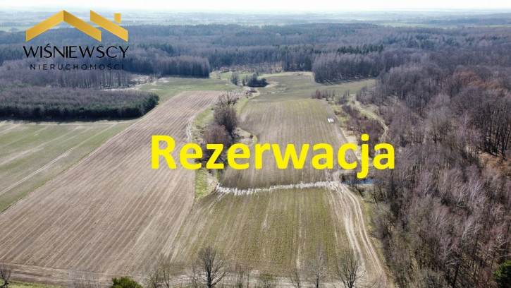 Działka Sprzedaż Borzynowo 1