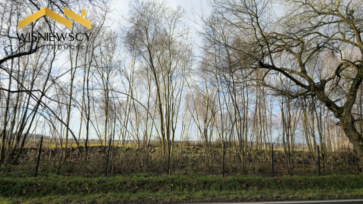 Działka Sprzedaż Dawidy 20