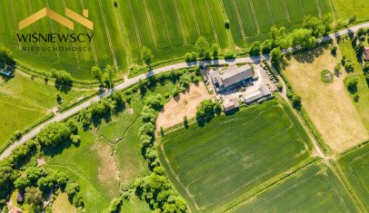 Działka Sprzedaż Świerznica