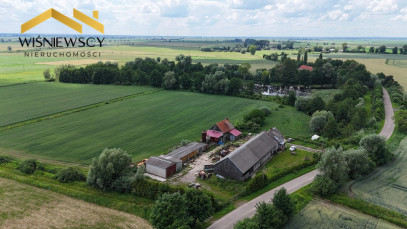 Działka Sprzedaż Świerznica