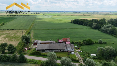 Działka Sprzedaż Świerznica