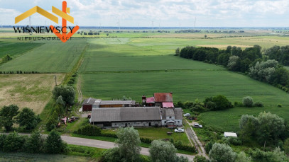 Działka Sprzedaż Świerznica
