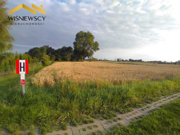Działka Sprzedaż Kobyla Kępa