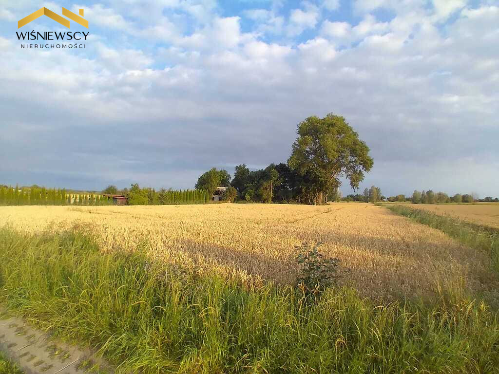 Działka Sprzedaż Kobyla Kępa
