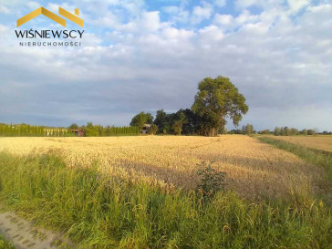 Działka Sprzedaż Kobyla Kępa