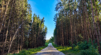 Działka Sprzedaż Rogowo