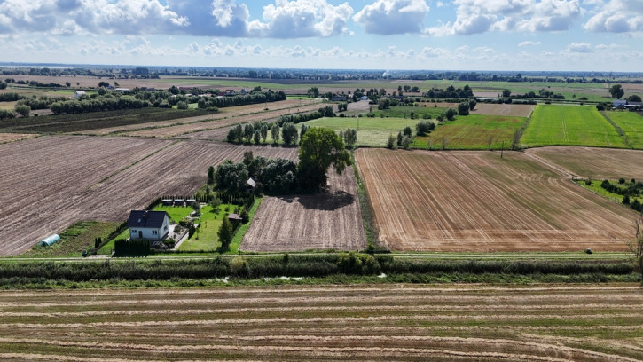 Działka Sprzedaż Kobyla Kępa 3