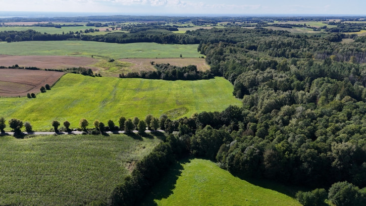 Działka Sprzedaż Pomorska Wieś 5