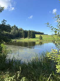 Działka Sprzedaż Rogowo
