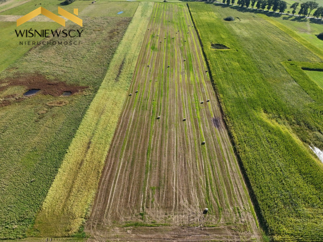 Działka Sprzedaż Dobry 10