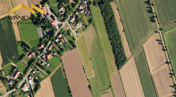 Działka Sprzedaż Zwierzno 5