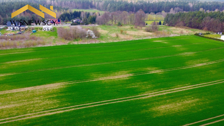 Działka Sprzedaż Zajezierze 6