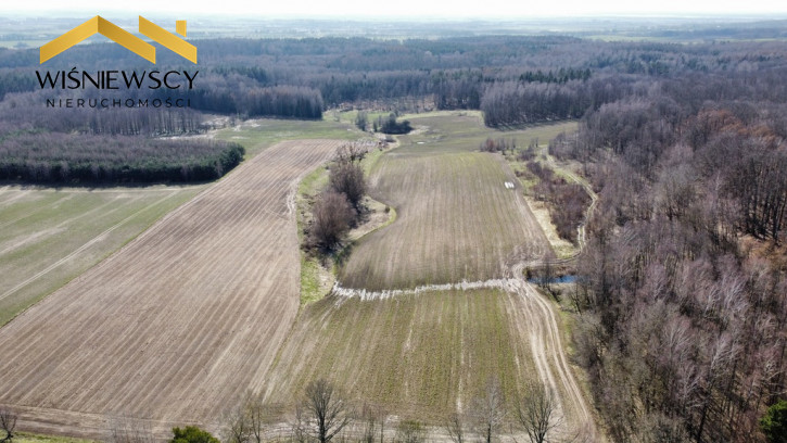 Działka Sprzedaż Borzynowo 2