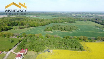 Działka Sprzedaż Dawidy