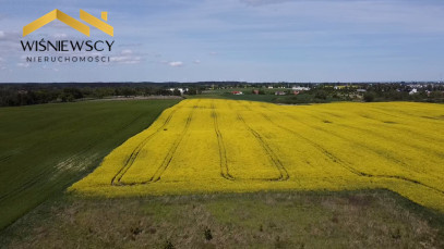 Działka Sprzedaż Zajezierze