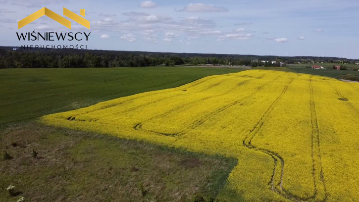 Działka Sprzedaż Zajezierze 4