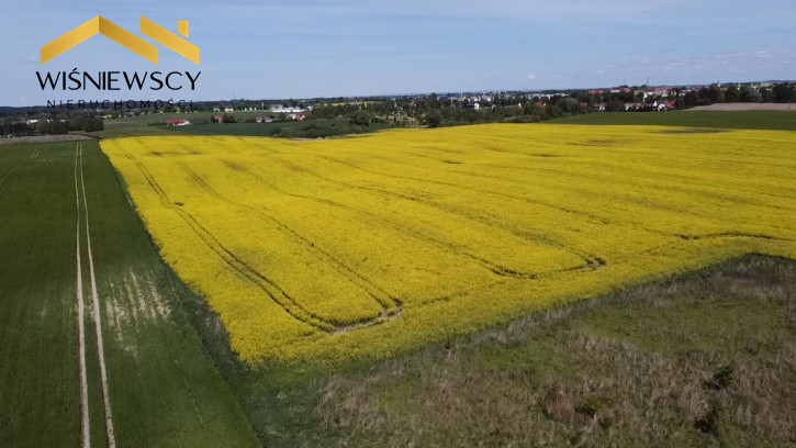 Działka Sprzedaż Zajezierze 6